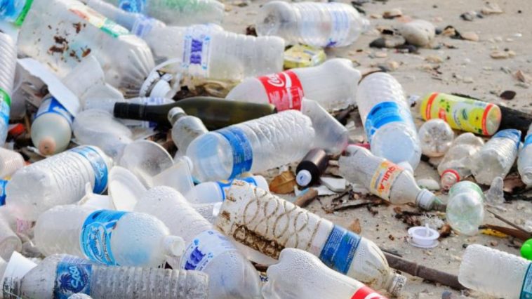 10 Ways to Reduce Plastic Pollution