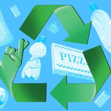 Recycling Tips and Tricks and How to Guide